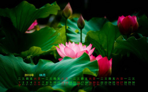 491868 (a): :1680x1050